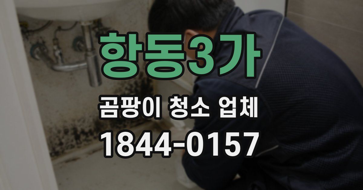 항동3가 곰팡이 청소 업체