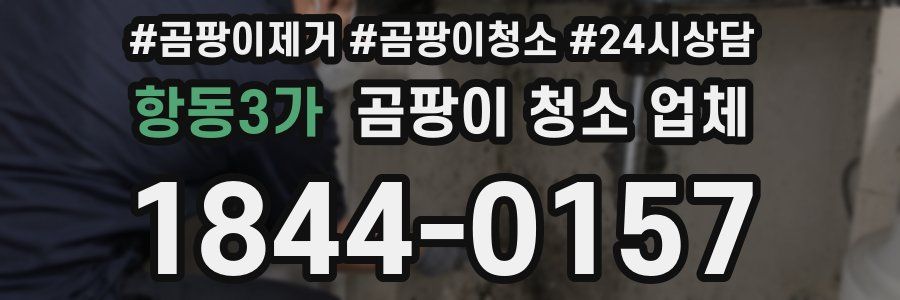 항동3가 곰팡이 청소 업체