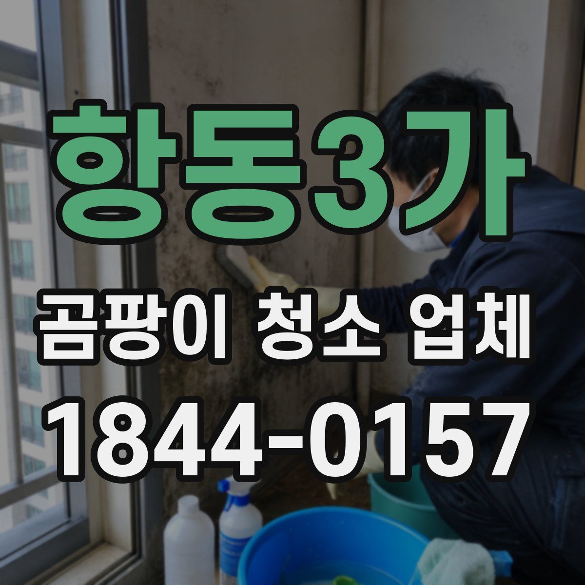 항동3가 곰팡이 청소 업체