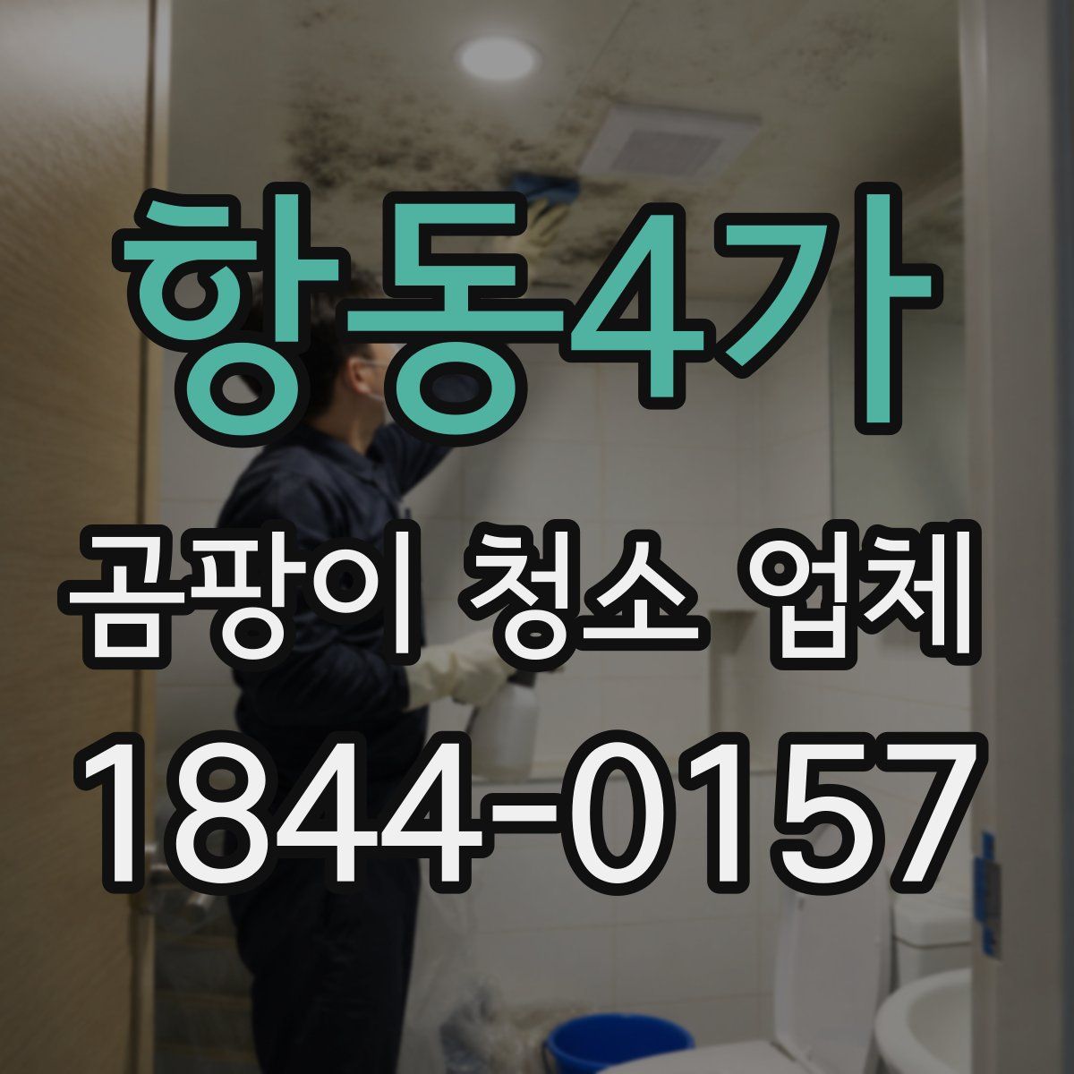 항동4가 곰팡이 청소 업체