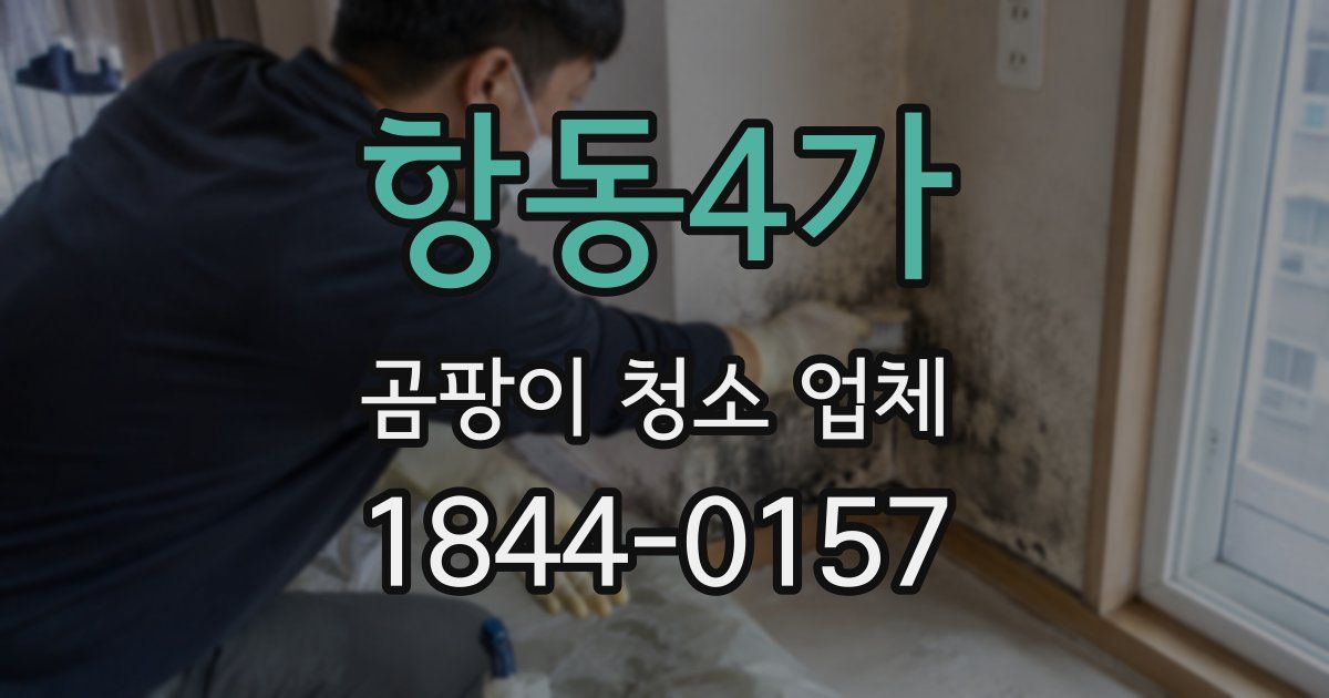 항동4가 곰팡이 청소 업체