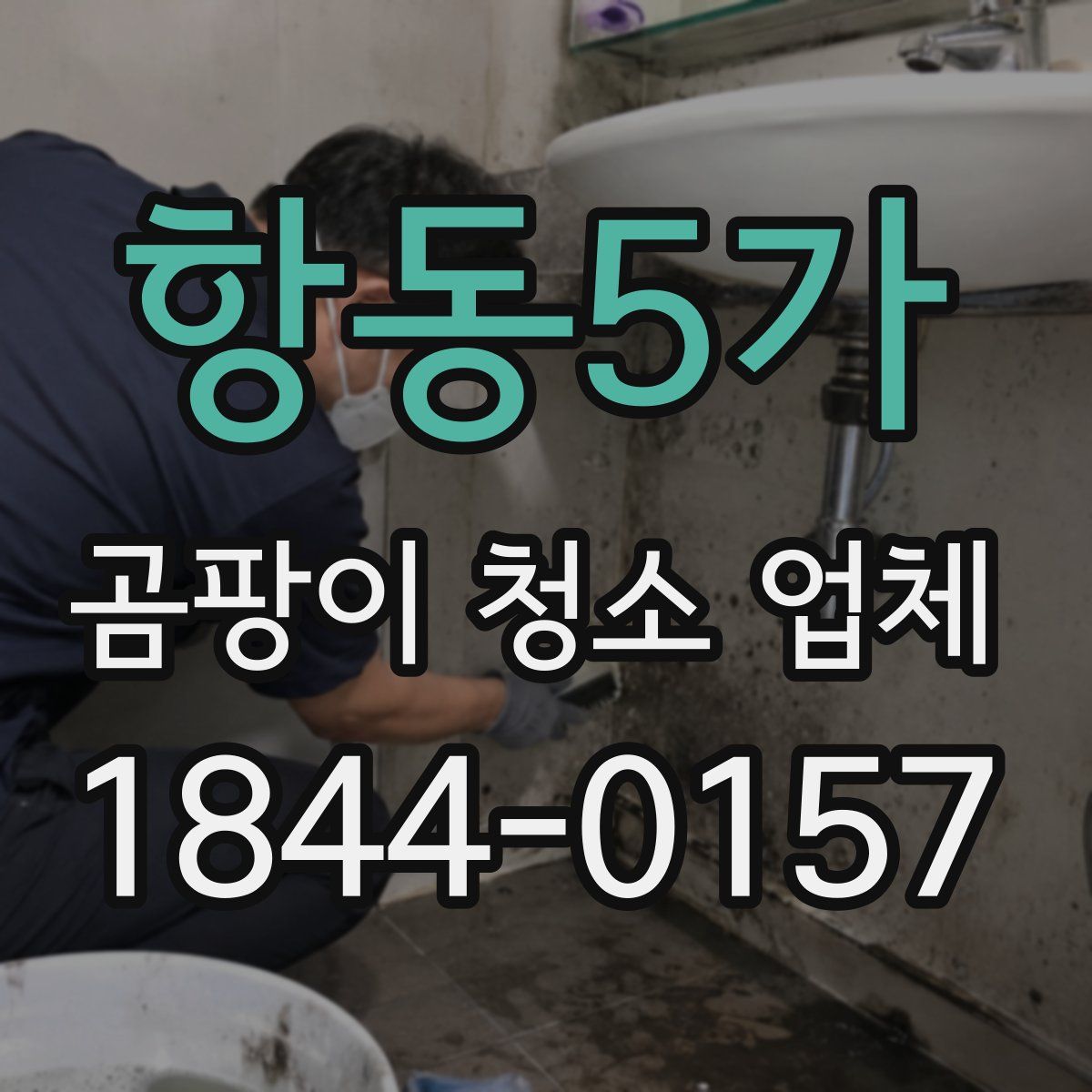 항동5가 곰팡이 청소 업체
