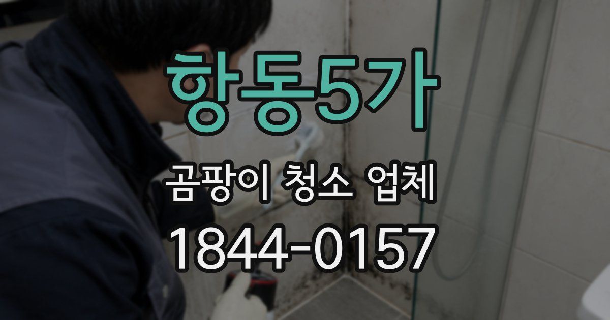 항동5가 곰팡이 청소 업체