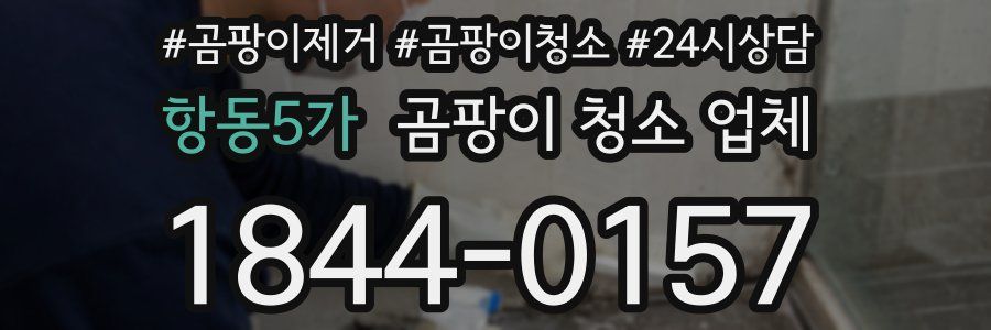 항동5가 곰팡이 청소 업체