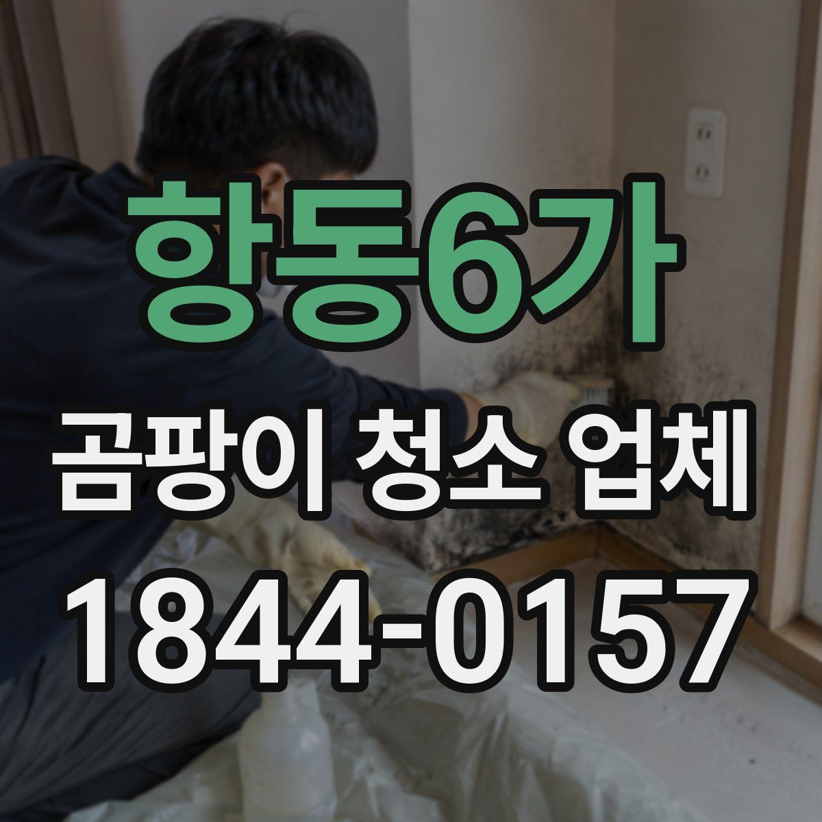 항동6가 곰팡이 청소 업체