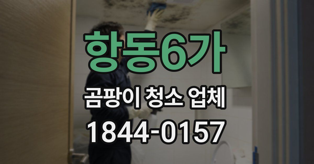 항동6가 곰팡이 청소 업체