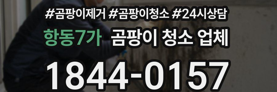 항동7가 곰팡이 청소 업체
