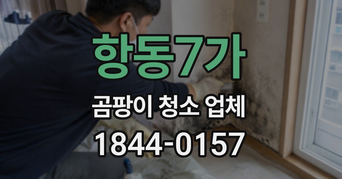 항동7가 곰팡이 청소 업체