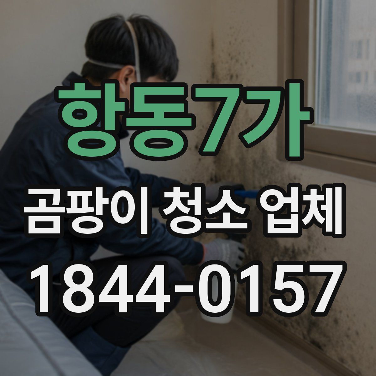 항동7가 곰팡이 청소 업체
