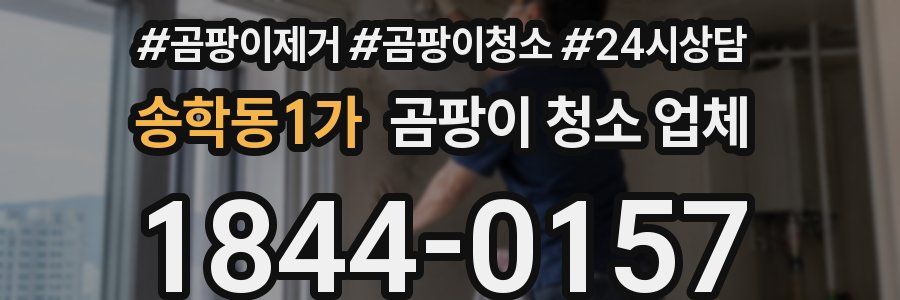 송학동1가 곰팡이 청소 업체