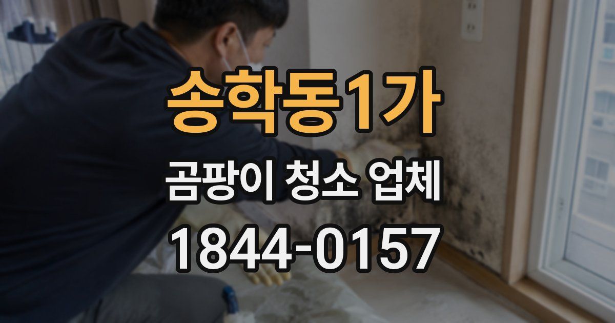 송학동1가 곰팡이 청소 업체