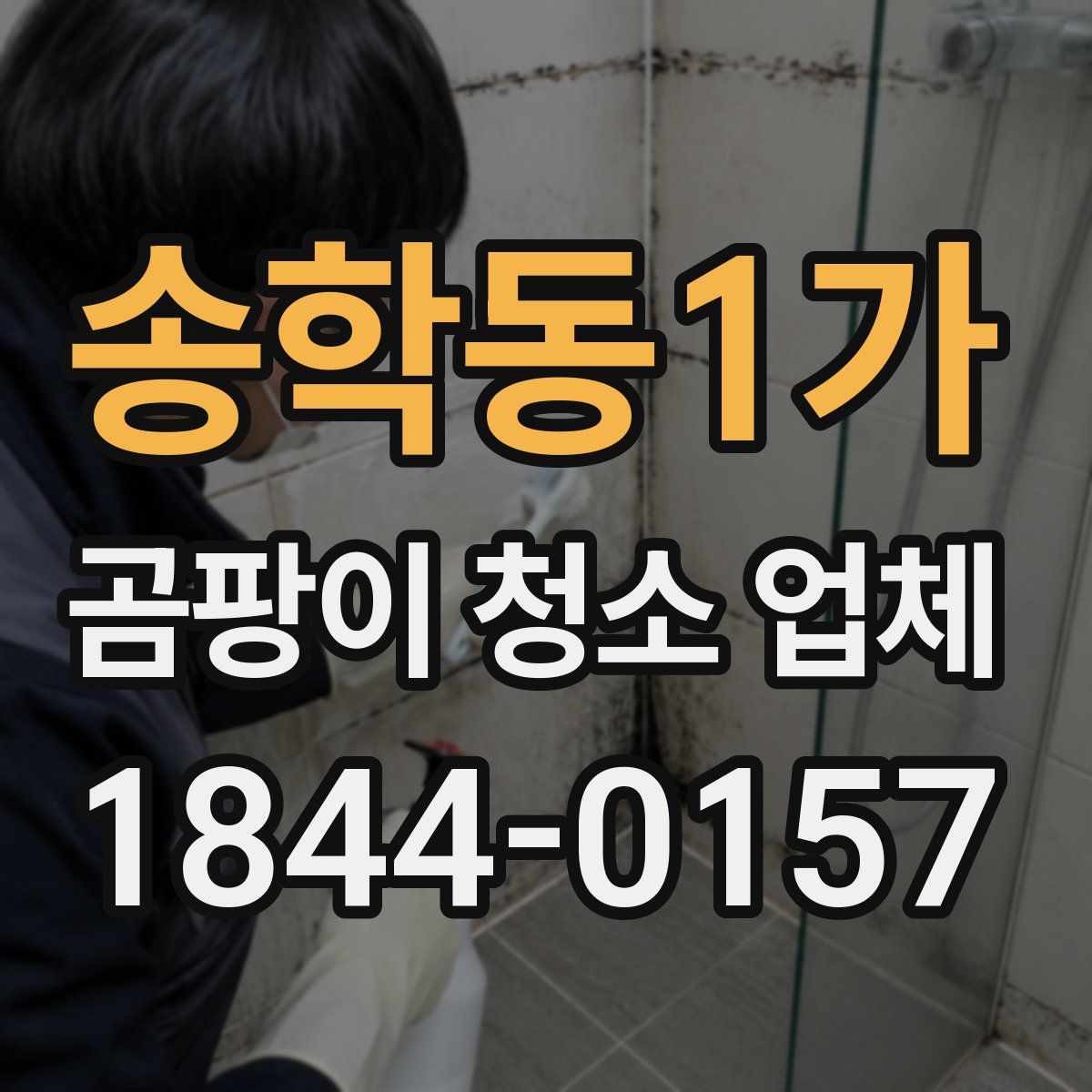 송학동1가 곰팡이 청소 업체