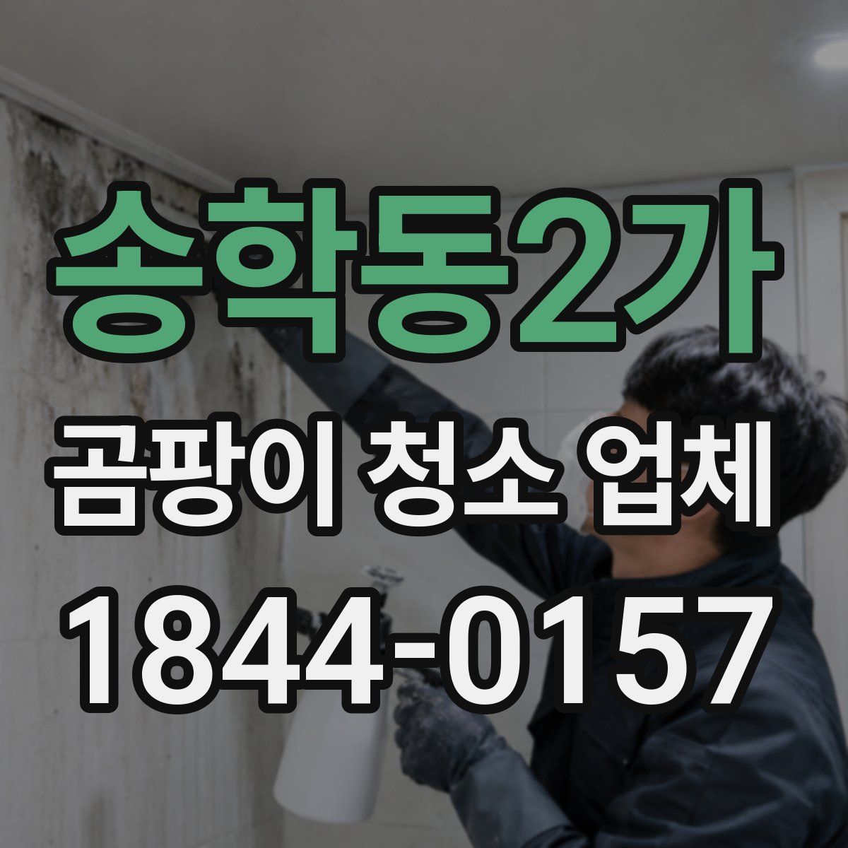 송학동2가 곰팡이 청소 업체