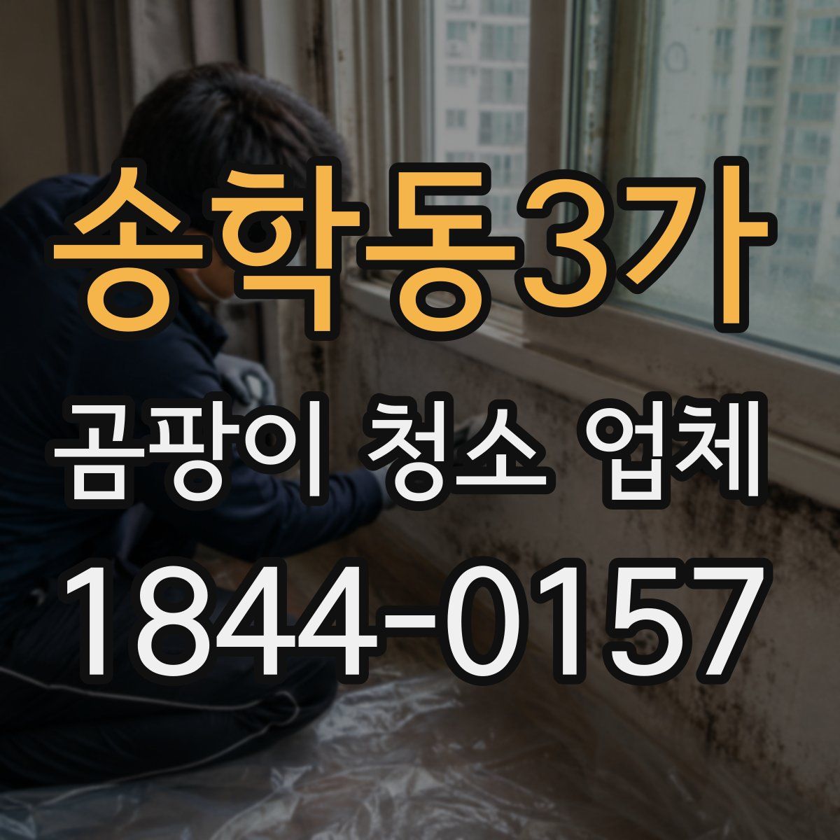 송학동3가 곰팡이 청소 업체