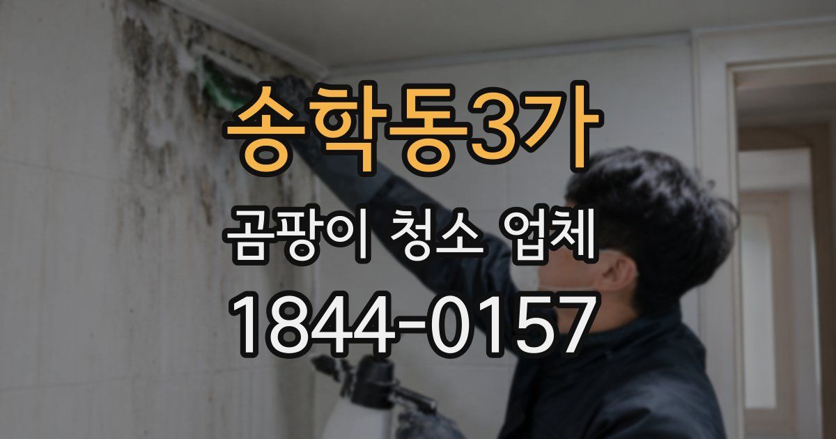 송학동3가 곰팡이 청소 업체