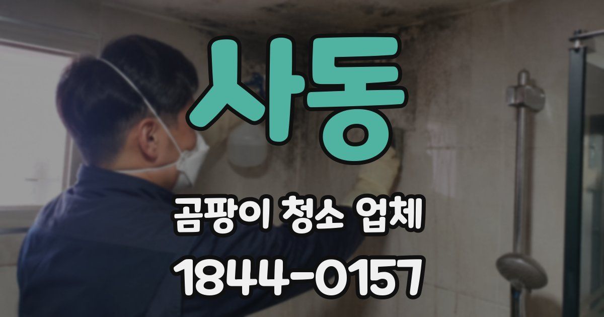 사동 곰팡이 청소 업체