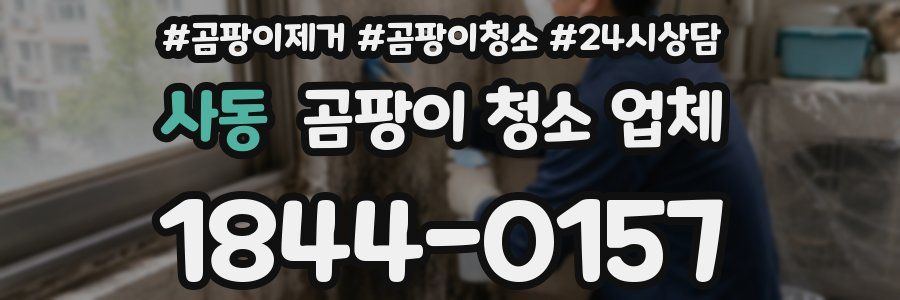 사동 곰팡이 청소 업체