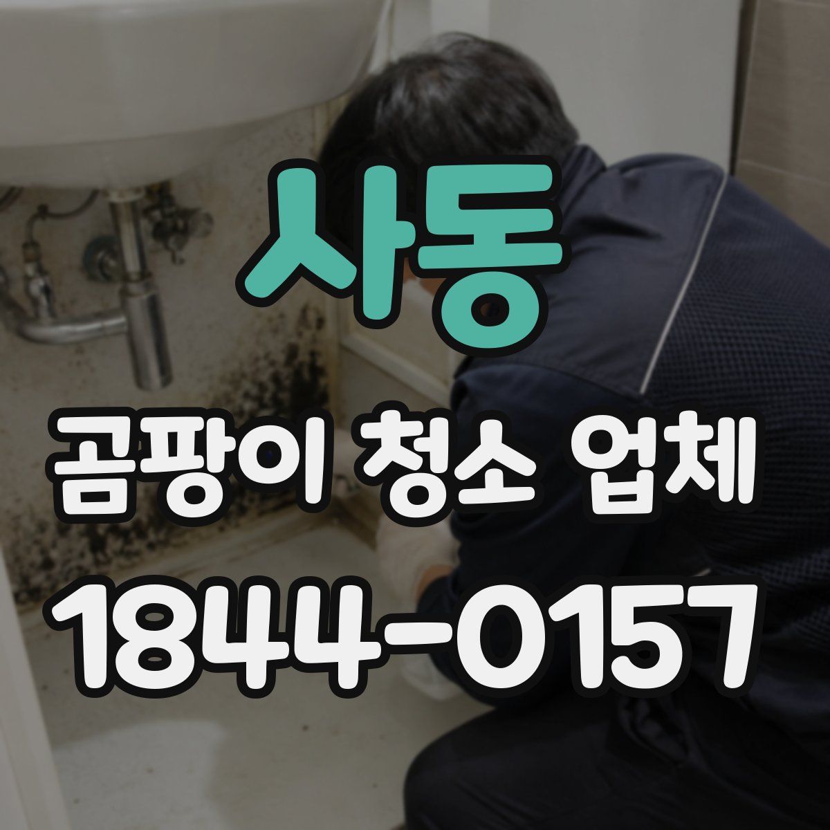 사동 곰팡이 청소 업체