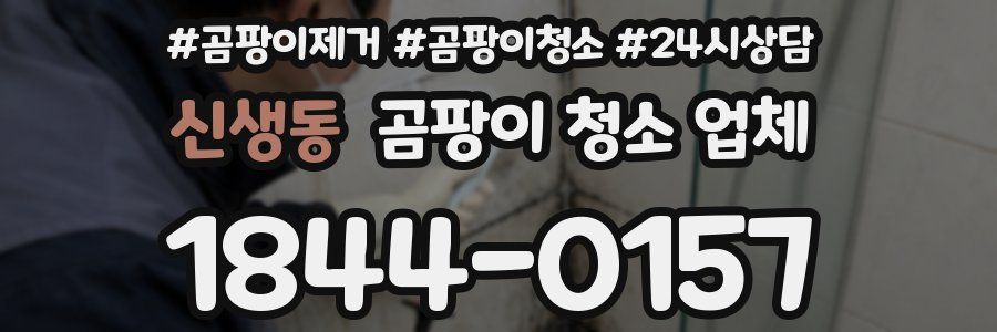 신생동 곰팡이 청소 업체