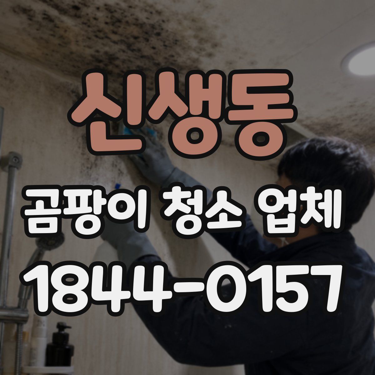 신생동 곰팡이 청소 업체
