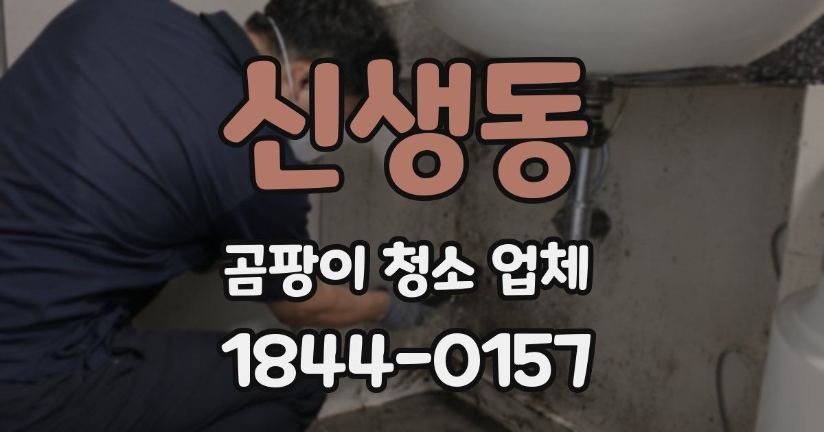 신생동 곰팡이 청소 업체