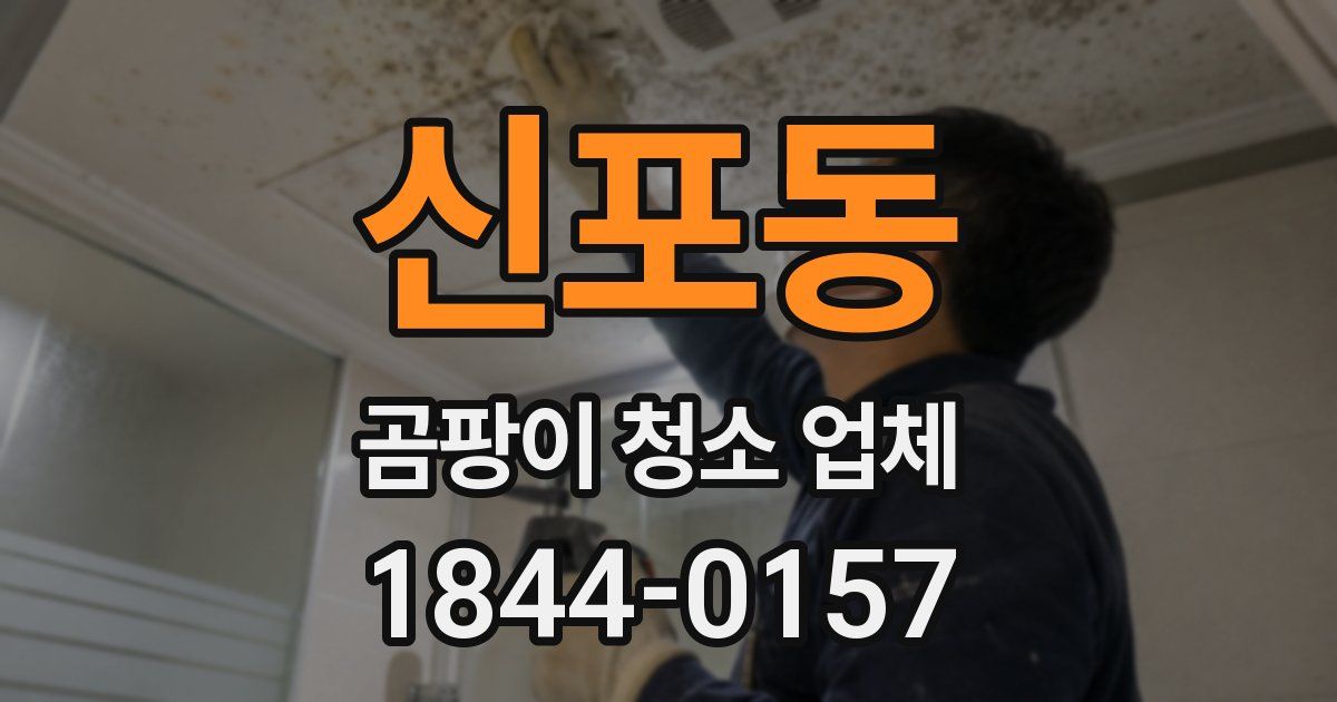 신포동 곰팡이 청소 업체