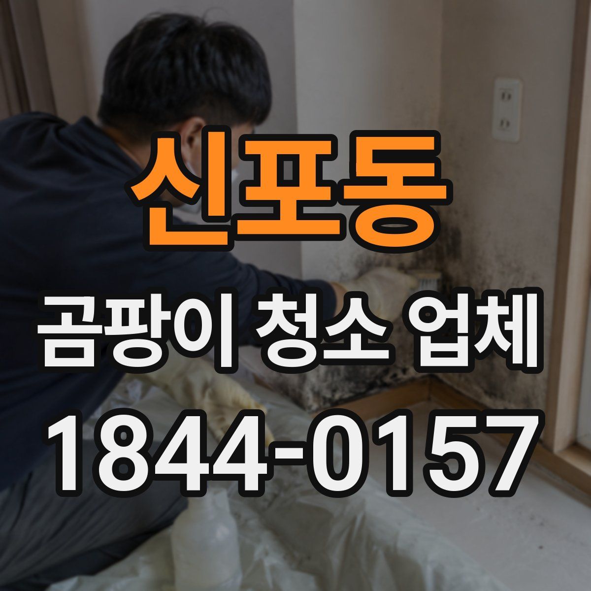 신포동 곰팡이 청소 업체