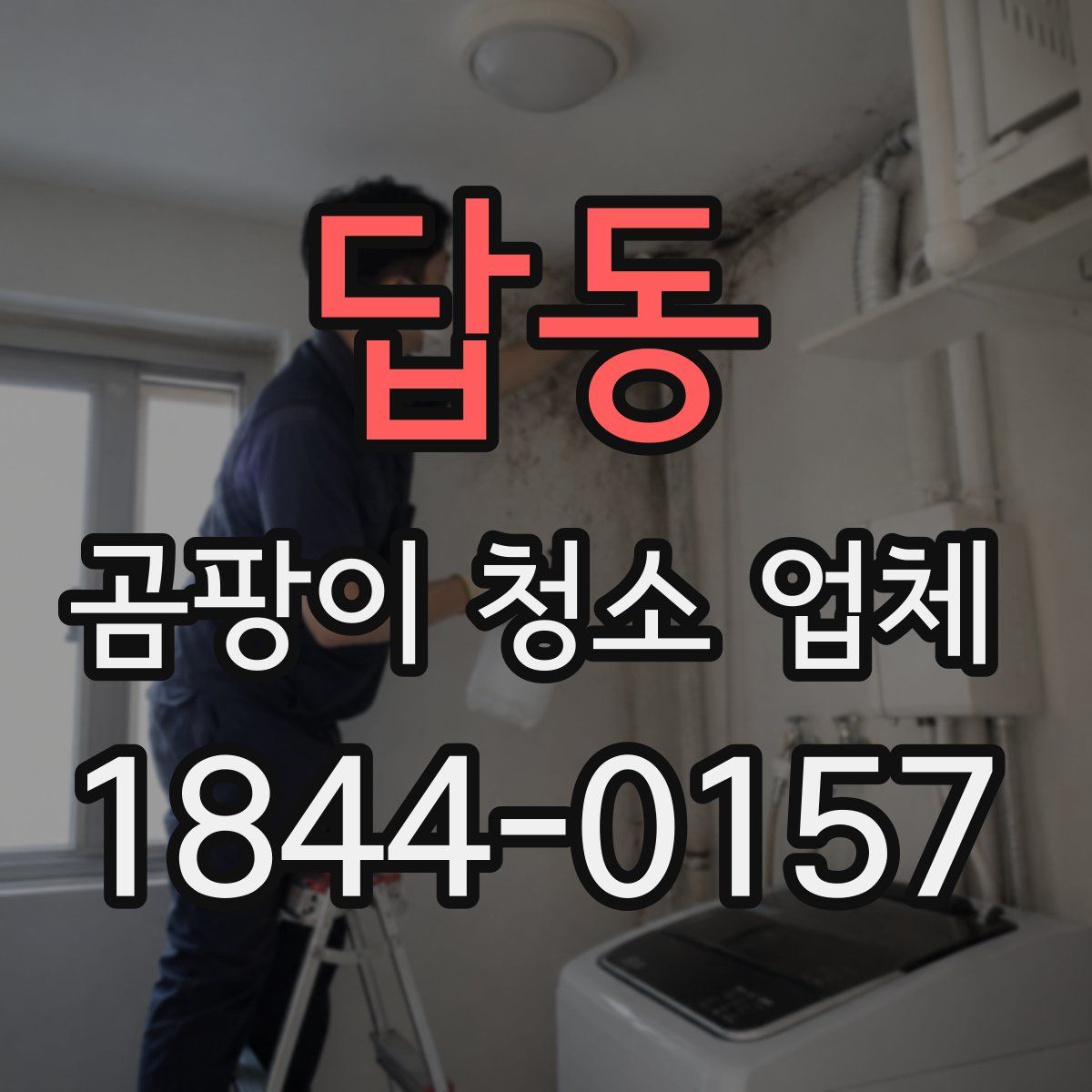 답동 곰팡이 청소 업체