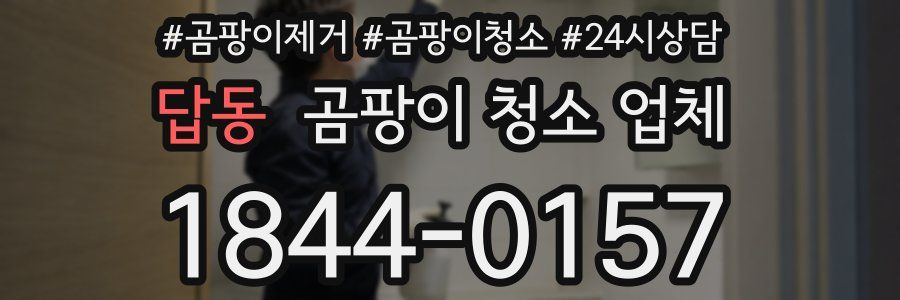 답동 곰팡이 청소 업체