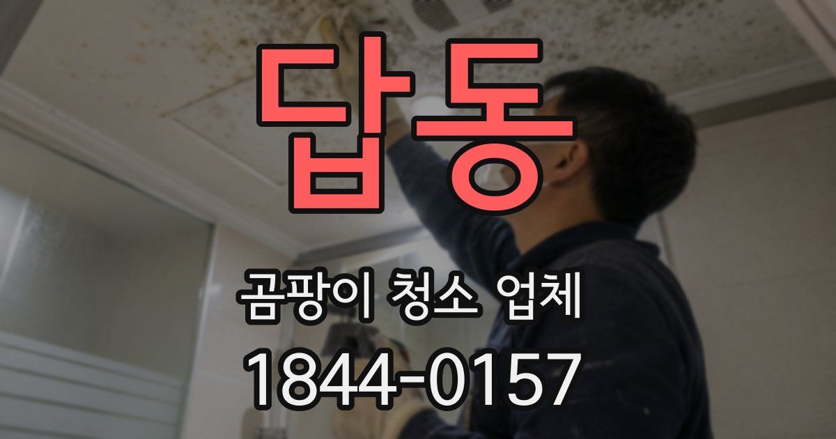 답동 곰팡이 청소 업체