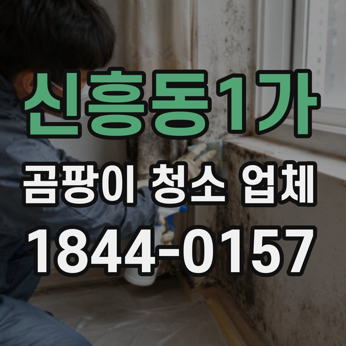 신흥동1가 곰팡이 청소 업체