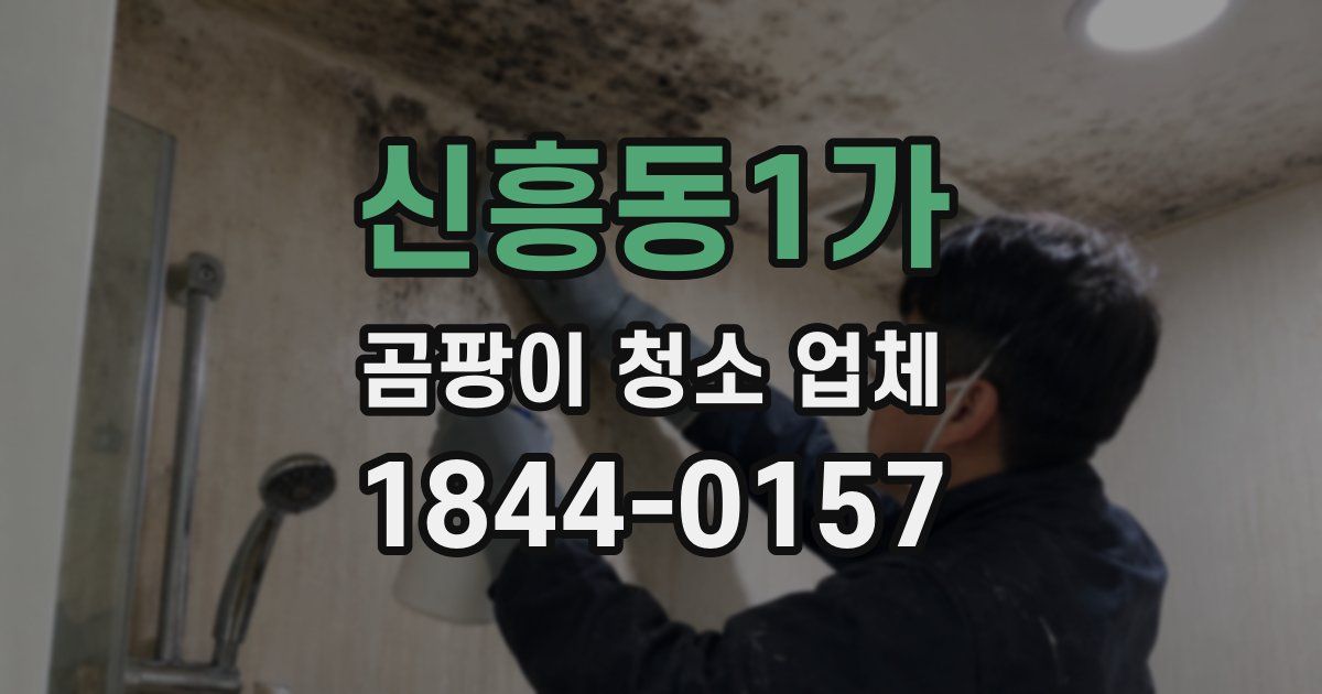 신흥동1가 곰팡이 청소 업체