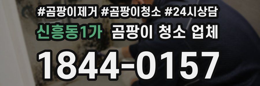 신흥동1가 곰팡이 청소 업체