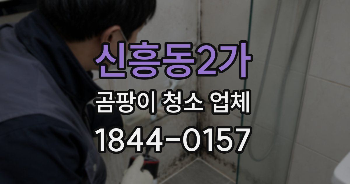 신흥동2가 곰팡이 청소 업체