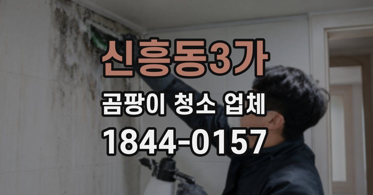 신흥동3가 곰팡이 청소 업체