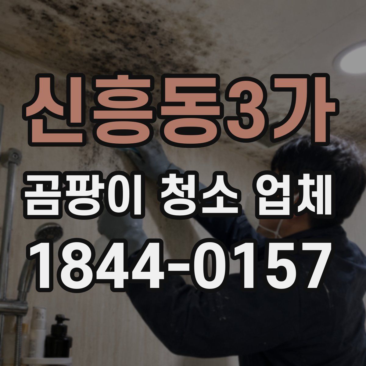 신흥동3가 곰팡이 청소 업체