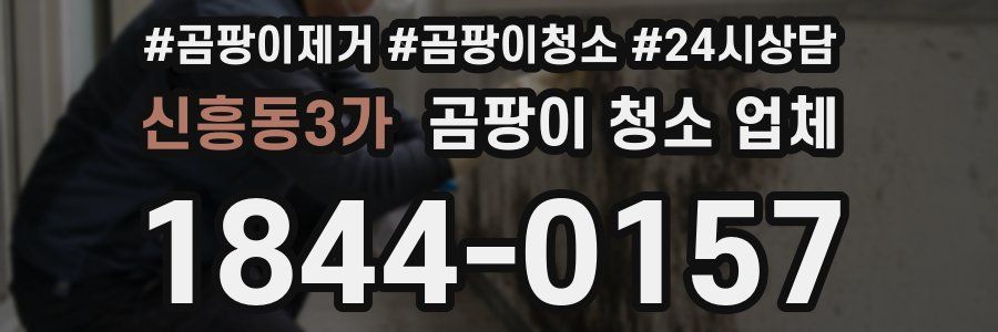 신흥동3가 곰팡이 청소 업체