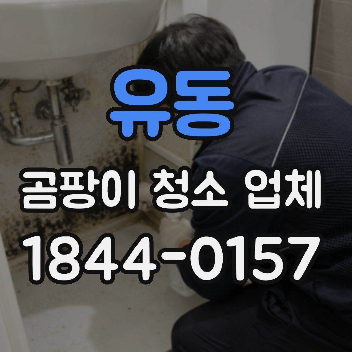 유동 곰팡이 청소 업체