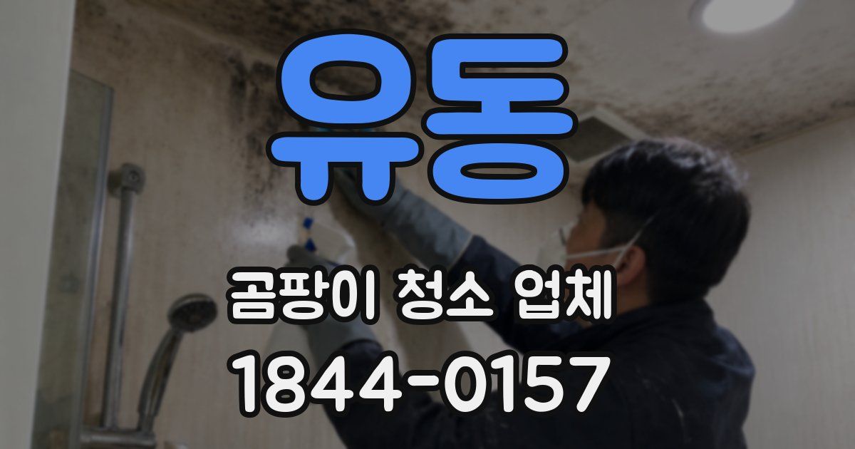 유동 곰팡이 청소 업체