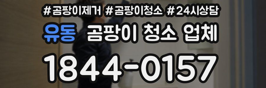 유동 곰팡이 청소 업체