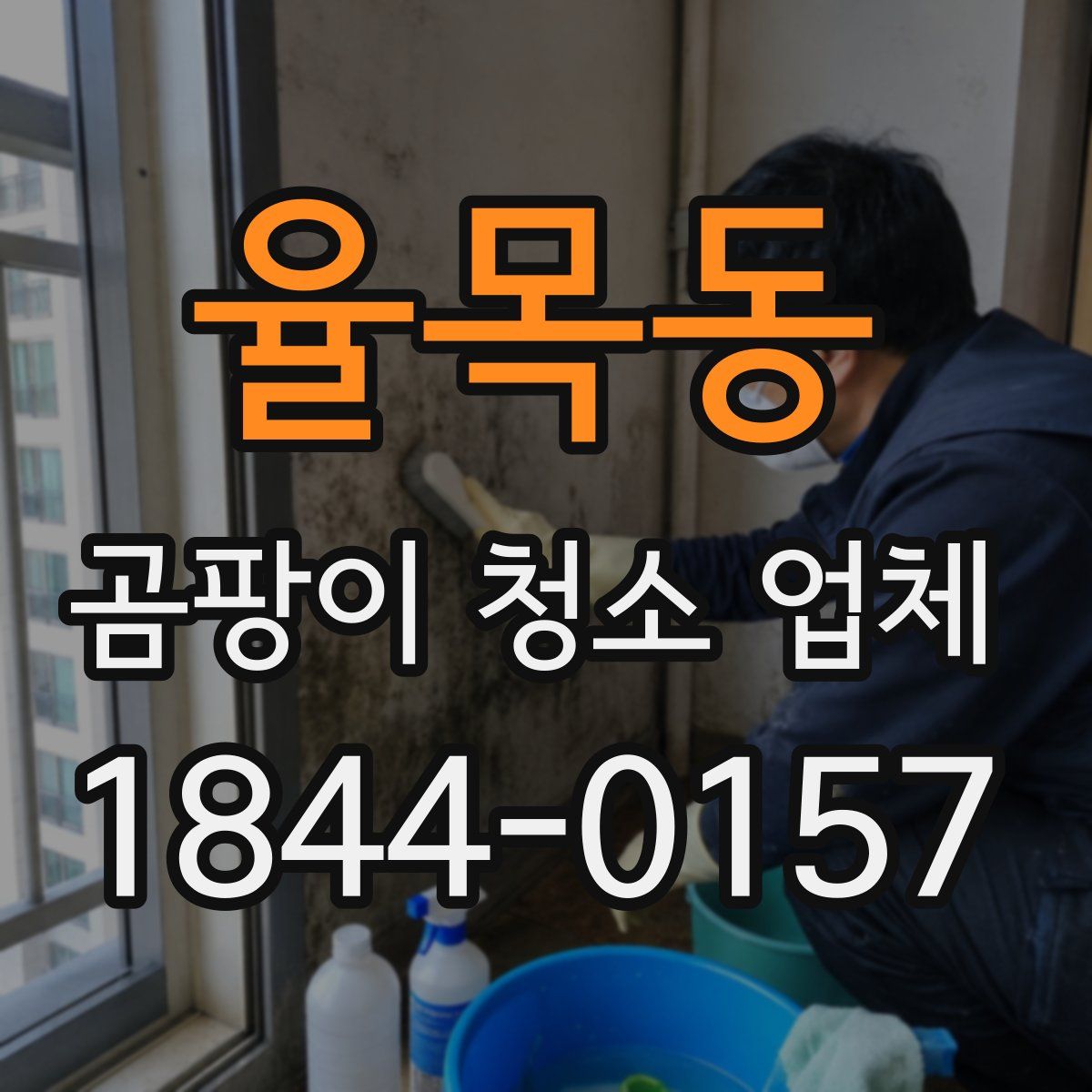 율목동 곰팡이 청소 업체