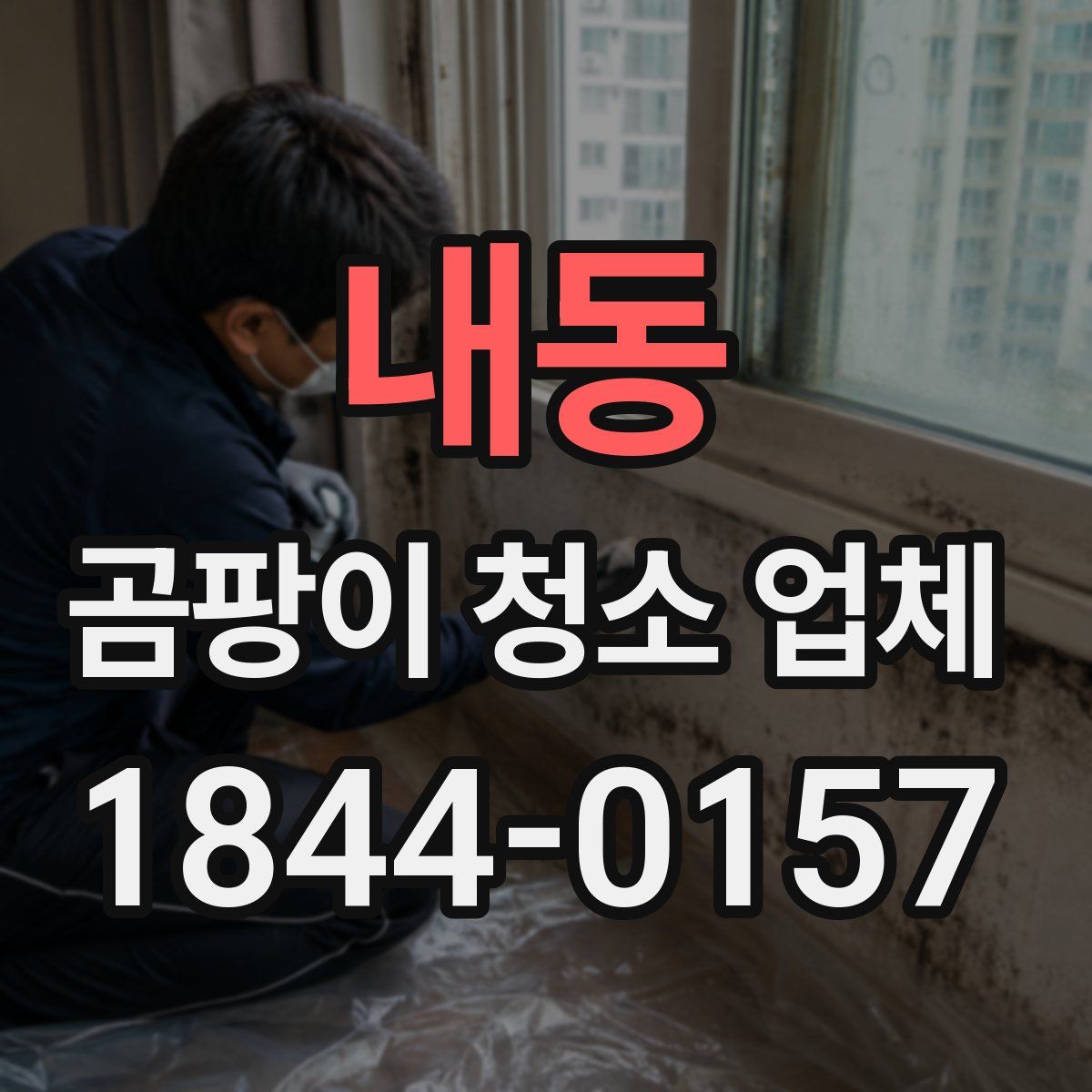 내동 곰팡이 청소 업체