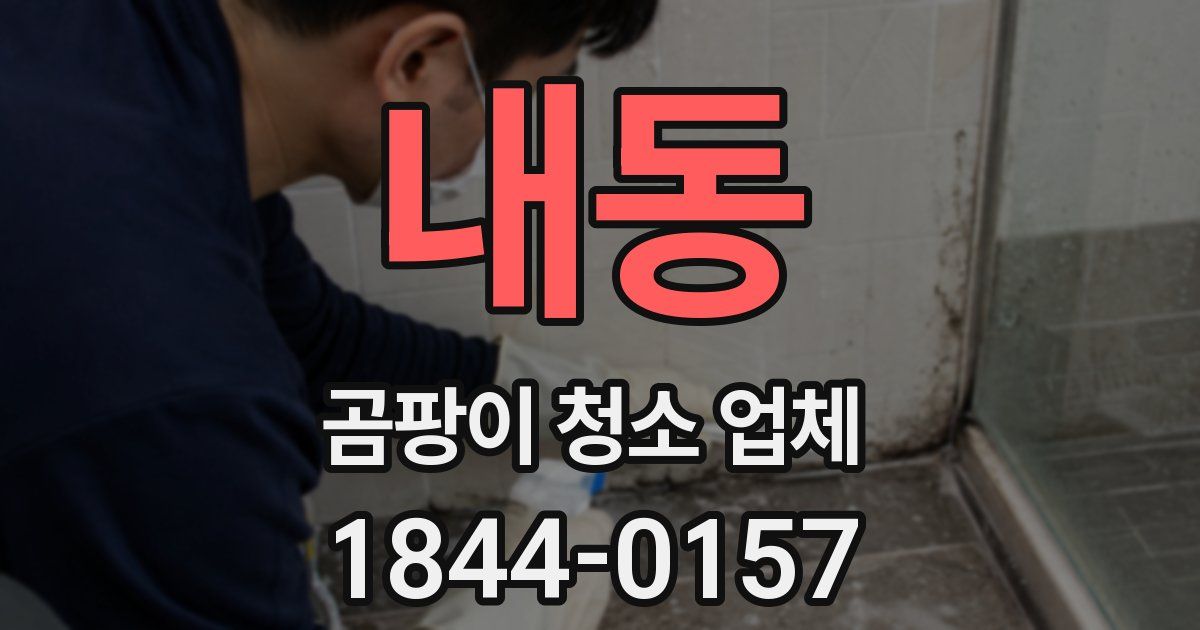 내동 곰팡이 청소 업체