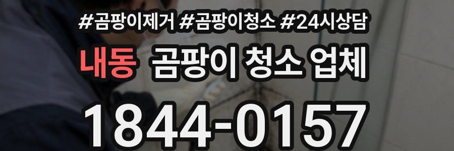 내동 곰팡이 청소 업체