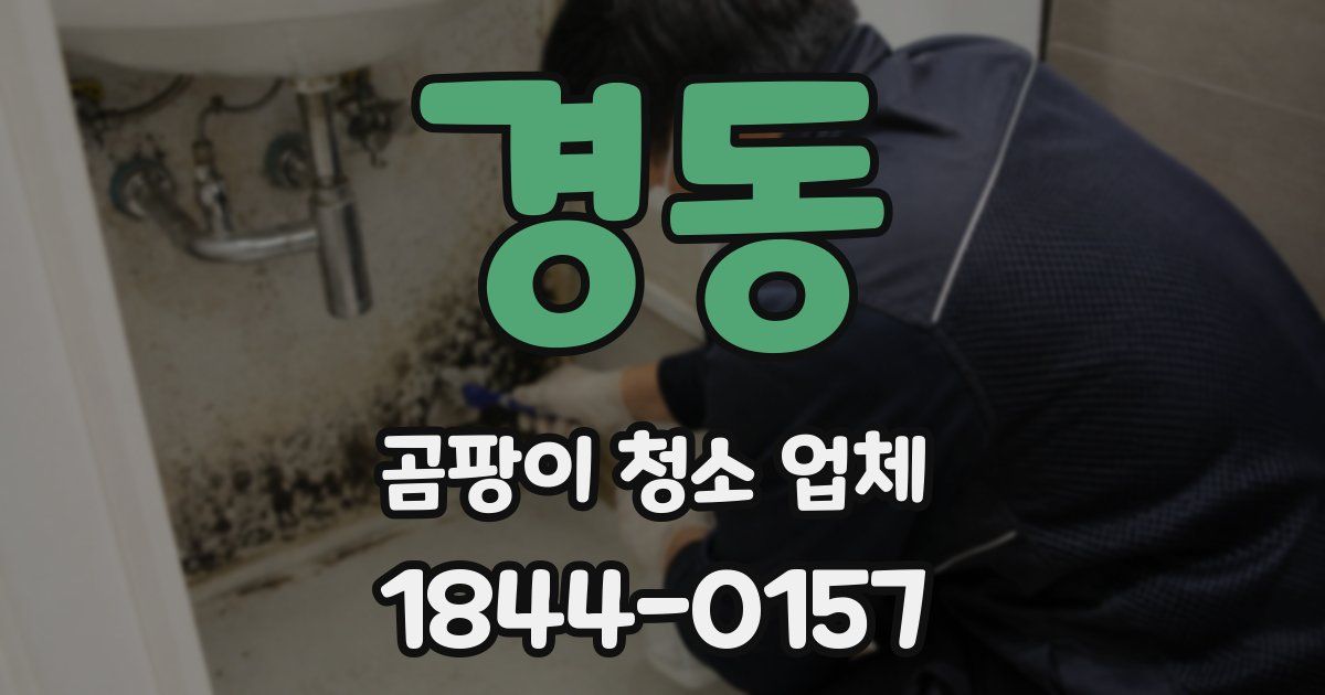 경동 곰팡이 청소 업체