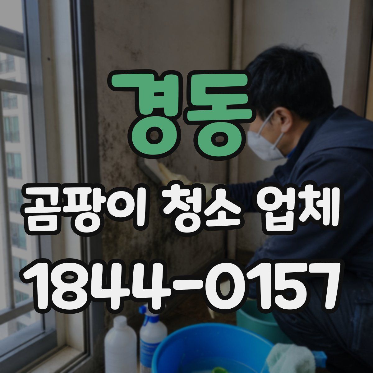 경동 곰팡이 청소 업체
