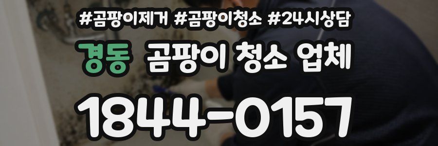 경동 곰팡이 청소 업체
