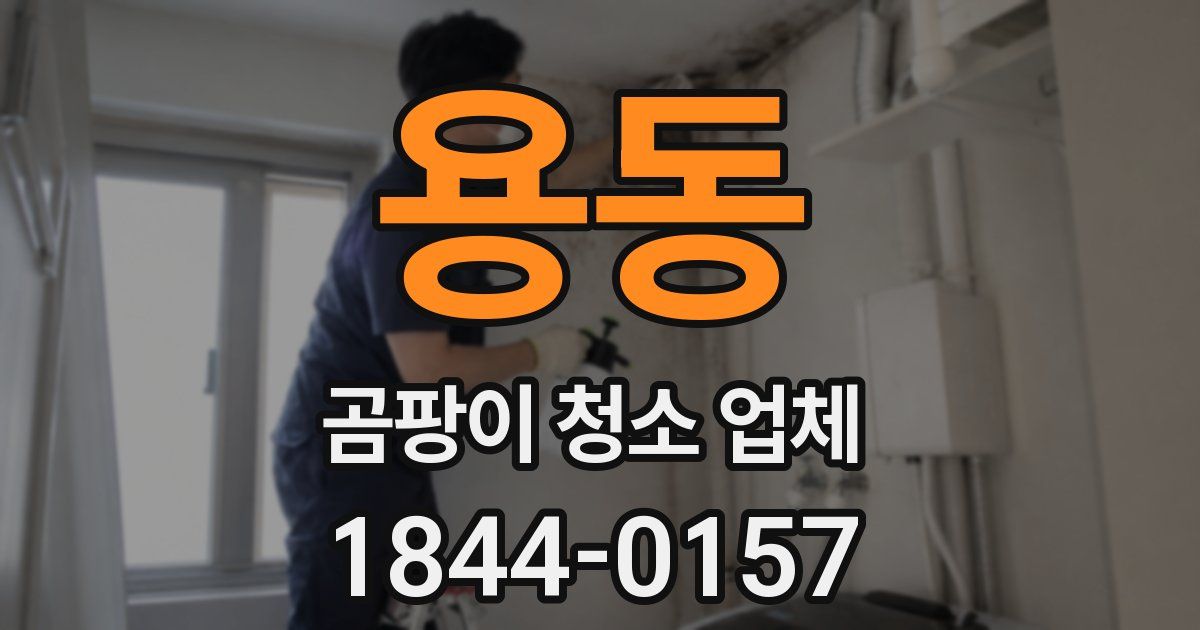 용동 곰팡이 청소 업체
