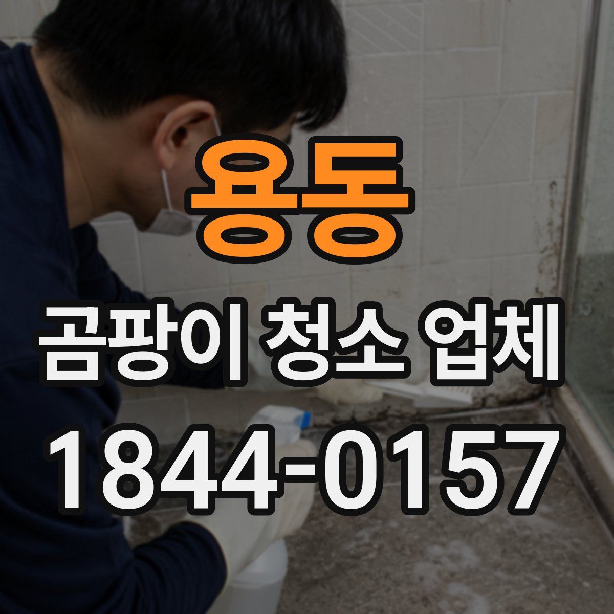 용동 곰팡이 청소 업체