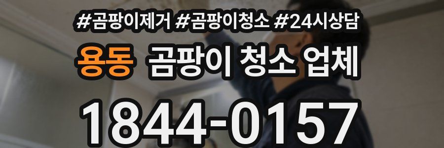 용동 곰팡이 청소 업체